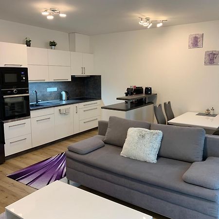 Apartman S Vyhlidkou Horní Maršov Extérieur photo
